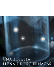 Una botella llena de luciérnagas