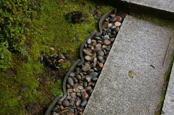 The Grackle: gardens: Fence Inspirations from Portland