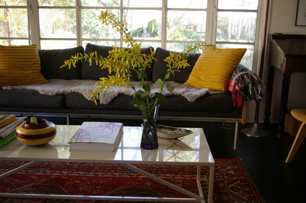 The Grackle: inside: Forsythia Sage