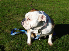 A beautiful fall day