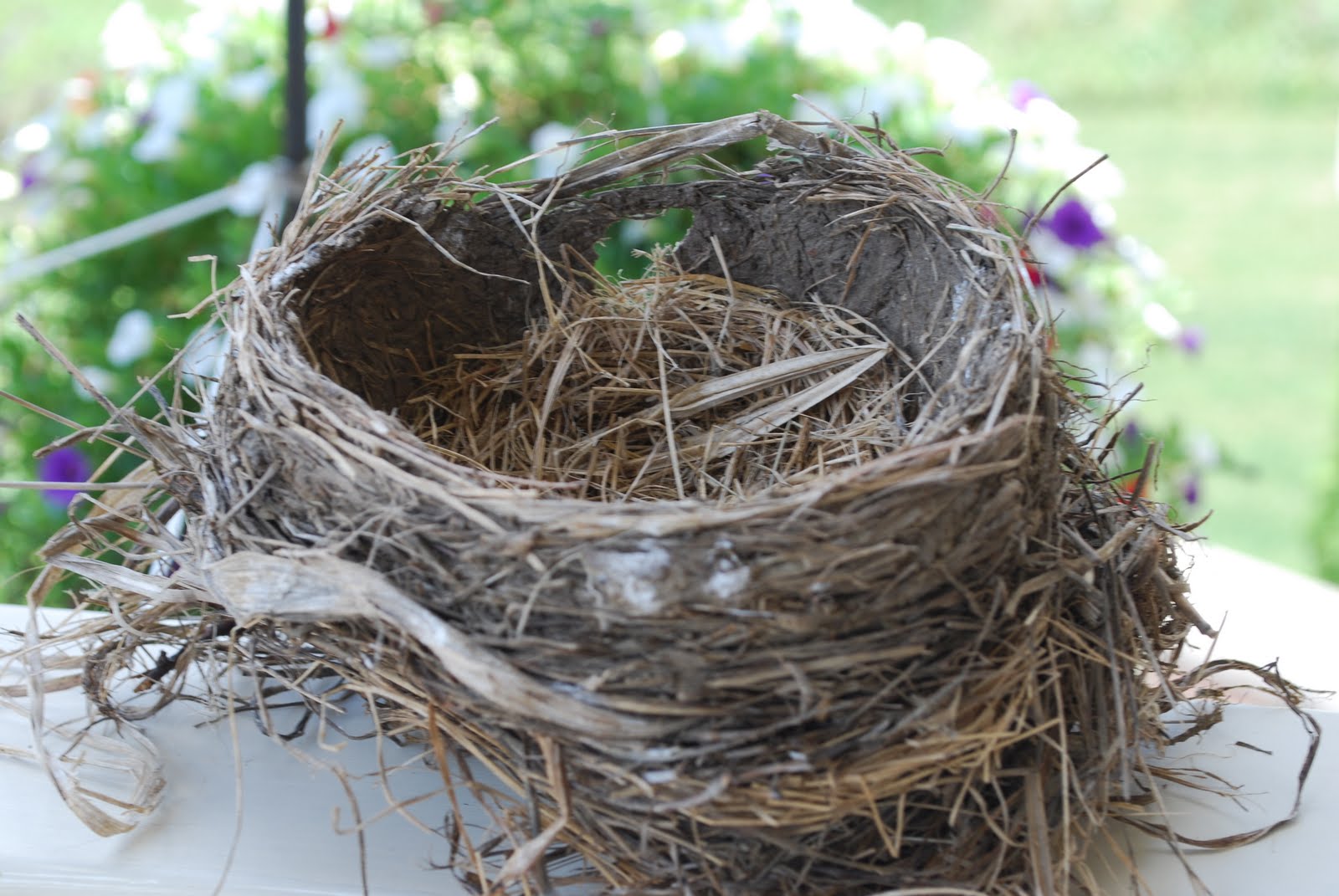 Craptastic Crafts for Kids Bird's Nest