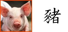 Chinese Zodiac Sign : Pig