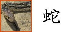 Chinese Zodiac Sign : Snake