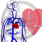 Cardiovascular Media Library