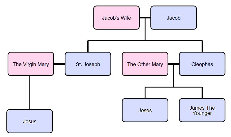 Shameless Popery: Did Mary Have Other Children?