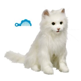 [416s1XfSVAL._SL500_AA280_.jpg]