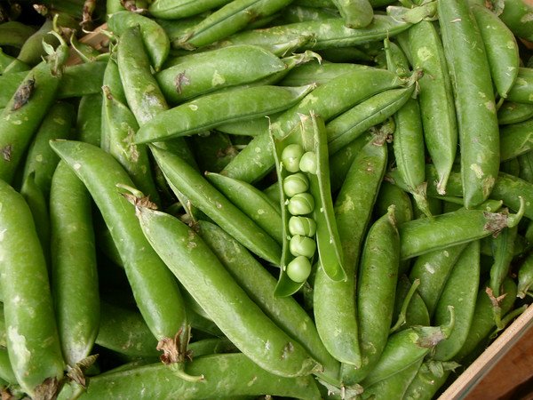 [561652240_q9cbX-M.jpg]