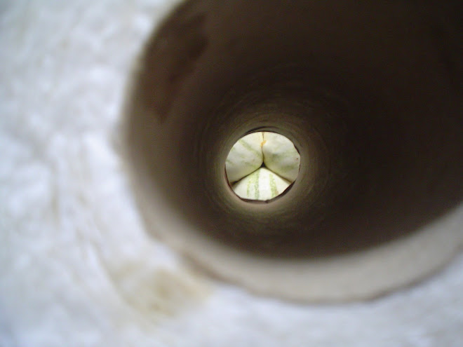 Calabaza en perspectiva