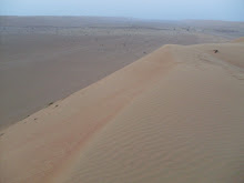 Oman Desert