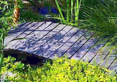 Roofscape Garden Journal: April 2010