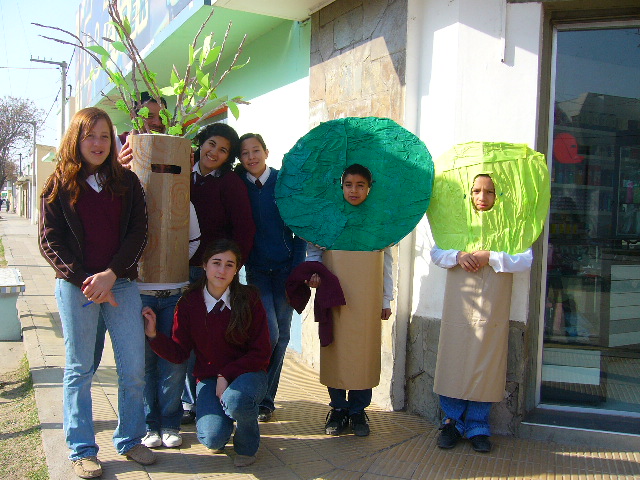LEY DE BOSQUES