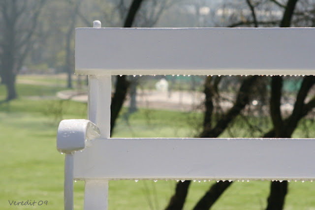 Kinder Gedichte Welt Jungst Sah Ich Den Wind Arno Holz