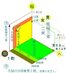 Yamaguchi Masumi: 班田収授法の実際（3）