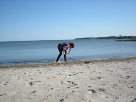 Joz,Slite strand Gotland
