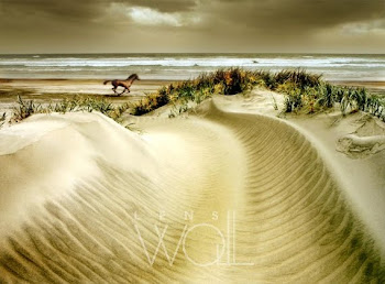 Horse and dunes - Carl Warner
