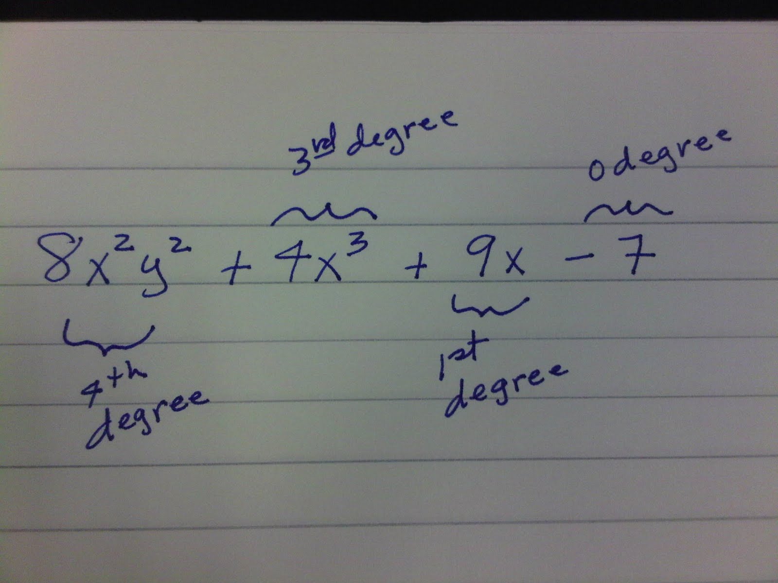 Algebra Aside: Polynomials