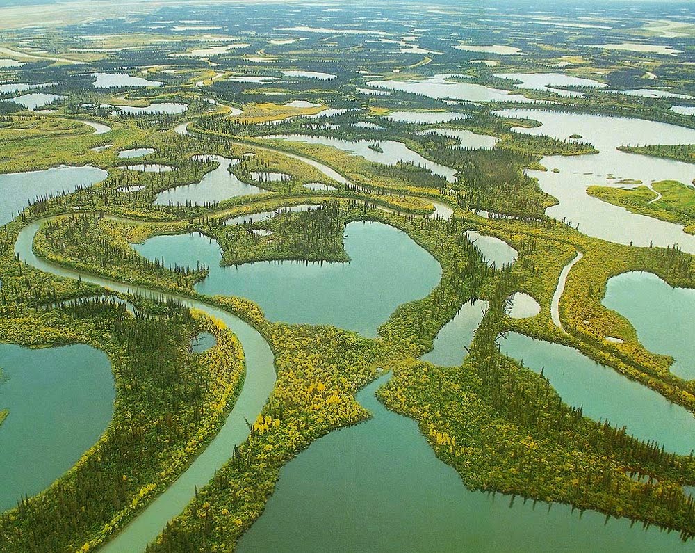 Какие крупные реки в канаде. Река Маккензи Канада. Дельта реки Маккензи. Устье реки Маккензи. Северная Америка река Маккензи.