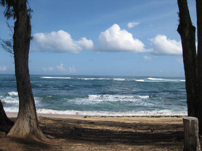 Anini Beach