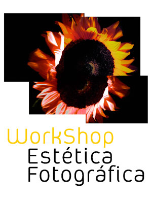 [banner-estetica1.jpg]