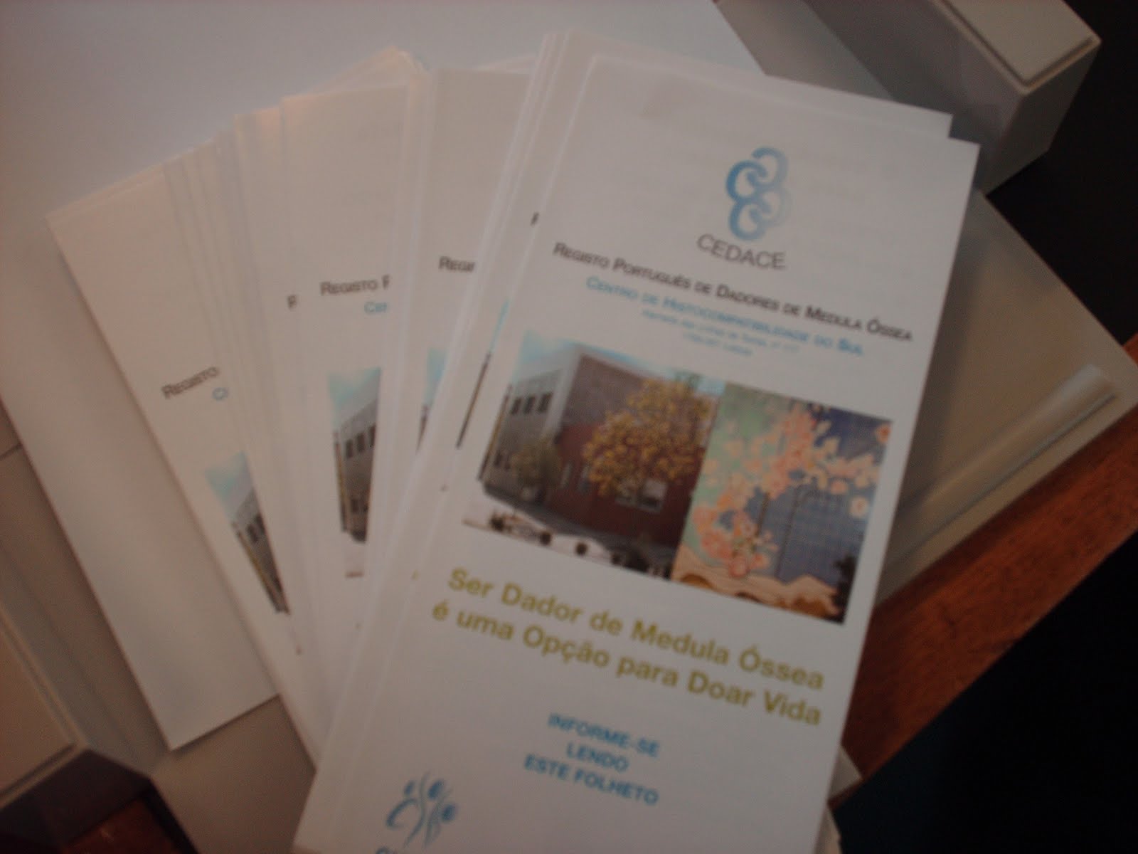 [twitmedula+II+010.JPG]