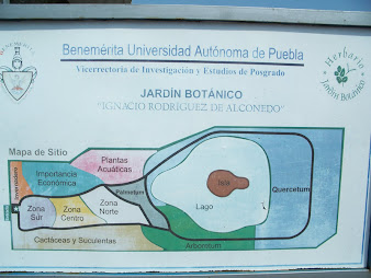 Mapa del Jardin Botanico