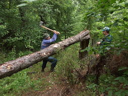 Tree for barrage[collect water for mill]