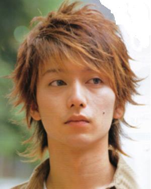 [Men+stylish+hairstyle+with+layers+in+redish+brown.jpg]