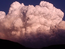 Clouds of Smoke from a Forest Fire at Sunset in South Central Montana in 2008