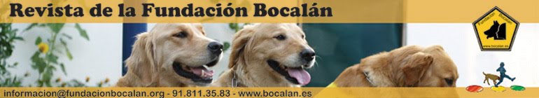 Revista Fundación Bocalán