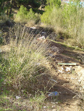 Nuestra basura en el territorio común