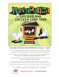 chicago chicken coop tour 3