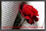 Blogs/Sites literatura