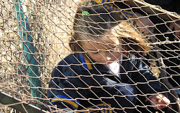 LA MALLA Y EL COMPOST