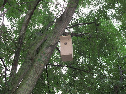 NIDO PARA AVES INSECTIVORAS