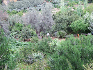 Bild 8 Garten von Kolymbetra