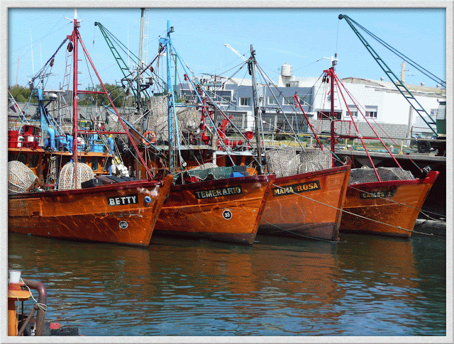 Lanchas pesqueras en Pto.,de Mar del Plata
