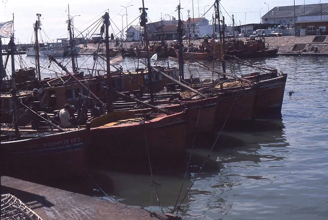 Barcos en puerto de Mar del Plata.