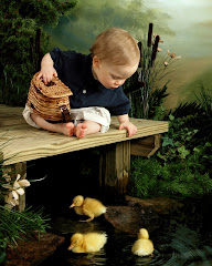 The Ducks!