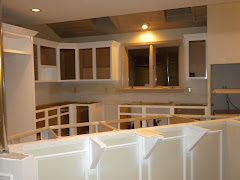 kitchen remodel