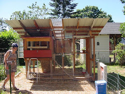 chickens coops tour wyatt gardening portland lucky