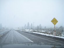 snowy & gray on the way to Bend