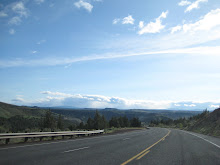 The road to Portland