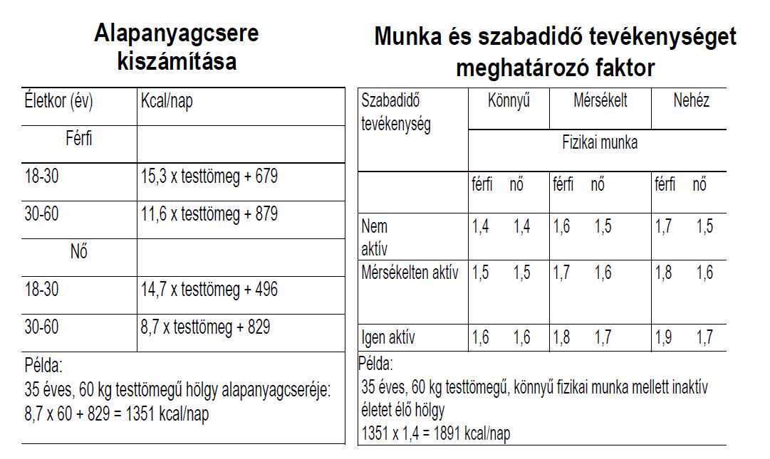 napi 1000 kcal fogyás)