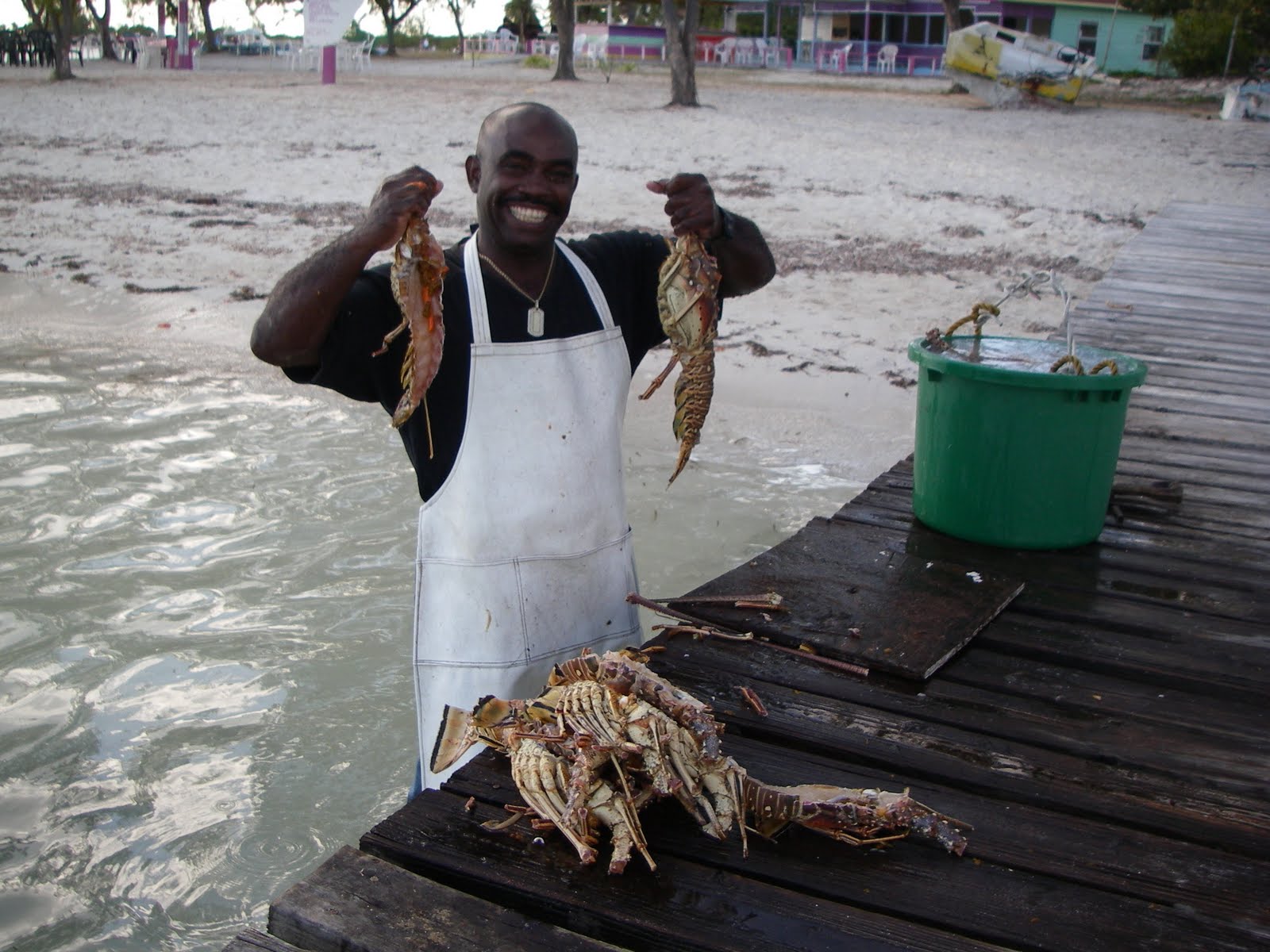 Scrumpdillyicious Anegada Lobster at Neptune's Treasure