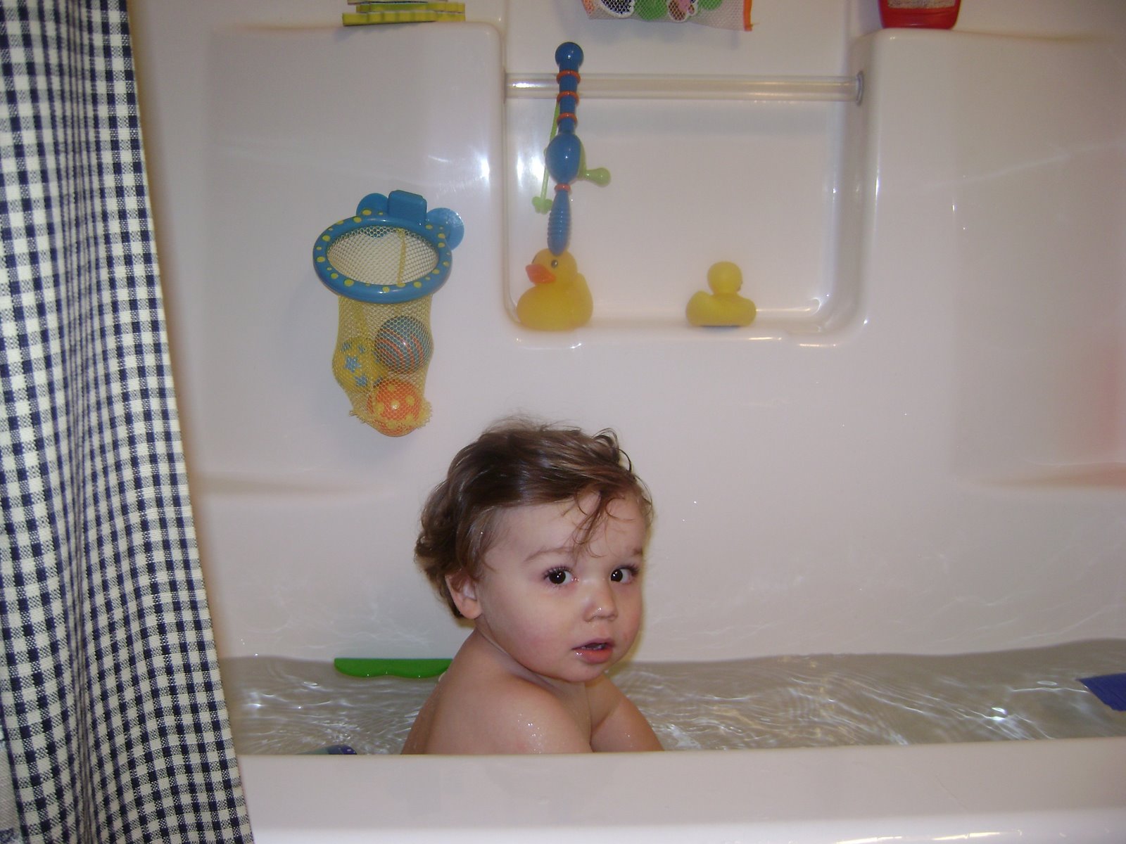 [DSC00091.JPG]