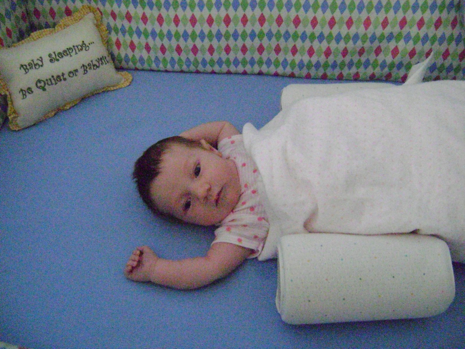 [DSC01153.JPG]