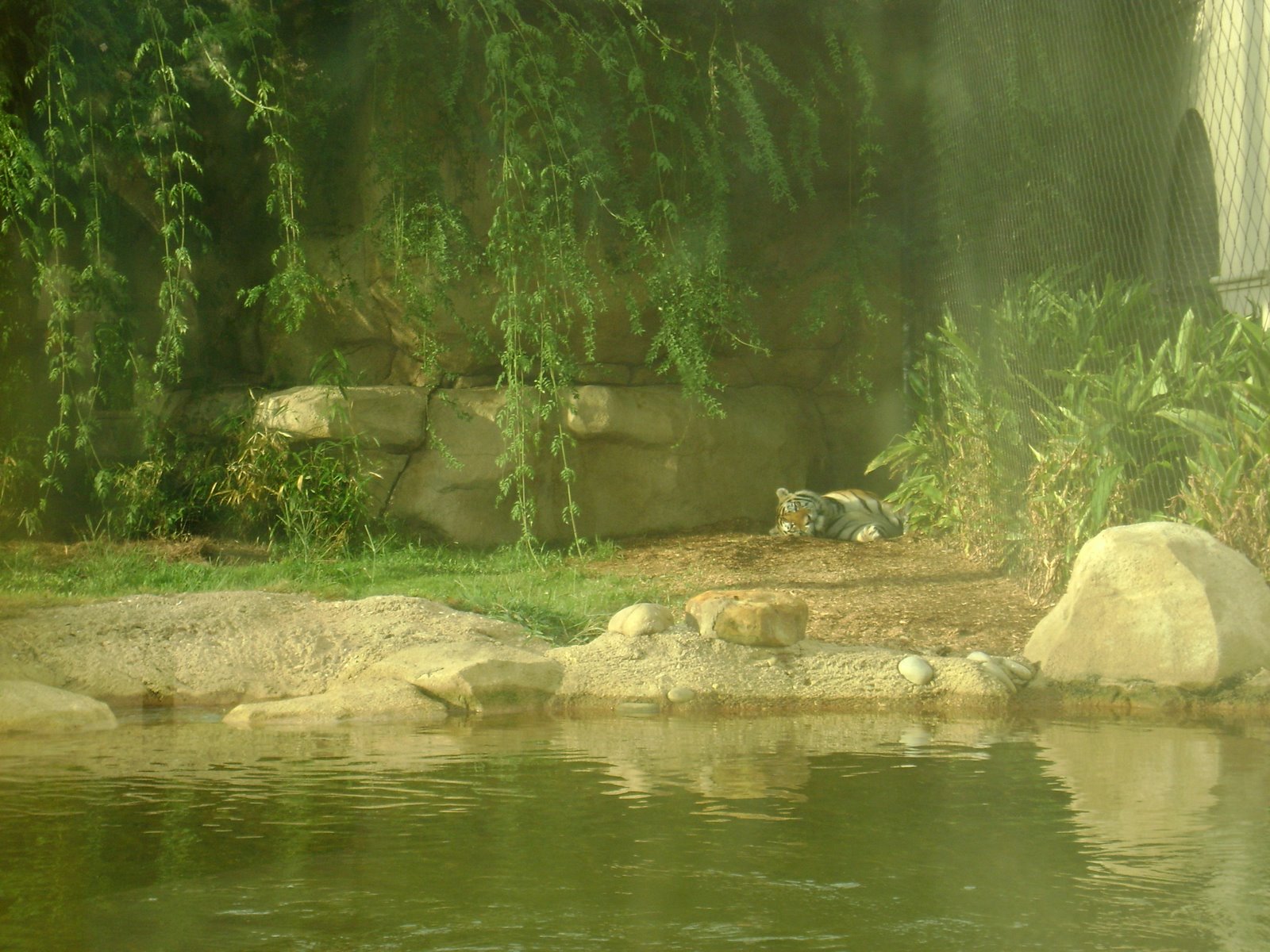 [DSC02277.JPG]