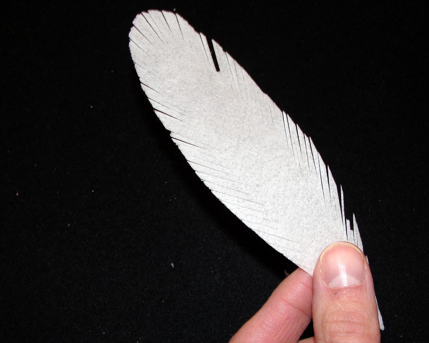 gel feather