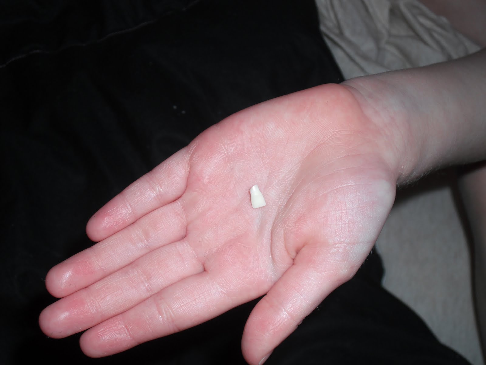 The Johnson Bugs: Tooth Fairy Away!!!