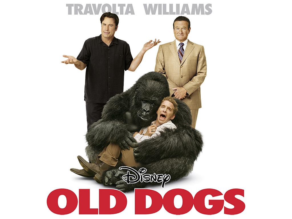 [old_dogs.jpeg]